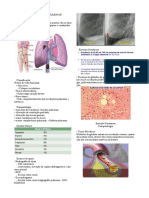 Tromboembolia Pulmonar: Sinais, Causas e Tratamento