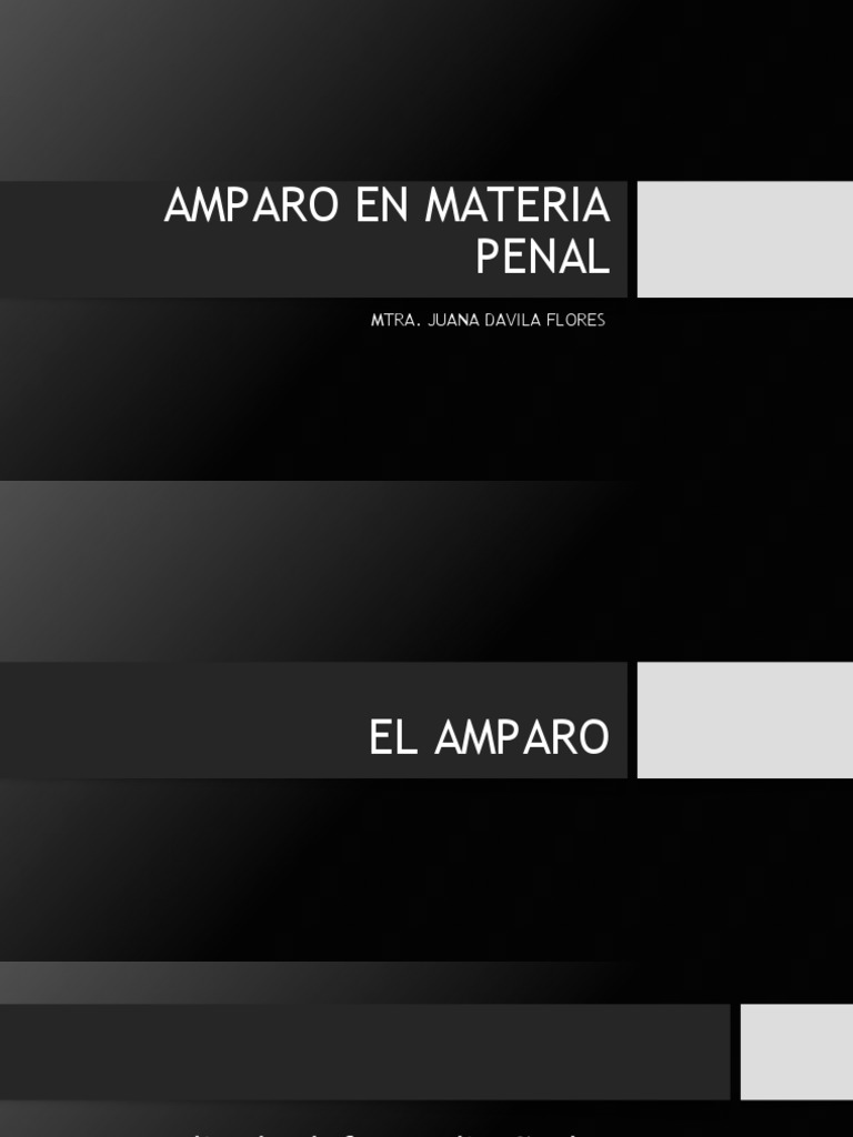 El Amparo En Materia Penal _ EL NUEVO JUICIO DE AMPARO Y EL PROCESO ...