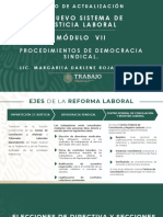 El Nuevo Sistema de Justicia Laboral Módulo Vii: Procedimientos de Democracia Sindical