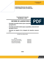 Informe de Laboratorio #02:: - Densidad, Densidad Relativa (Peso Específico) y Absorción Del