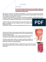 Casos Clinicos e Imagenologia