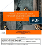 Evidencias de Planes de Accion - Inspeccion Cruzada Diamond - SGS 15.03.2023