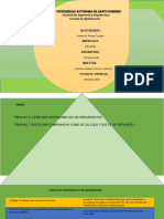 Presupuesto Practica 2