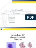 III Parasitología