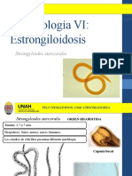 Parasitología VI: Estrongiloidosis: Strongyloides Stercoralis