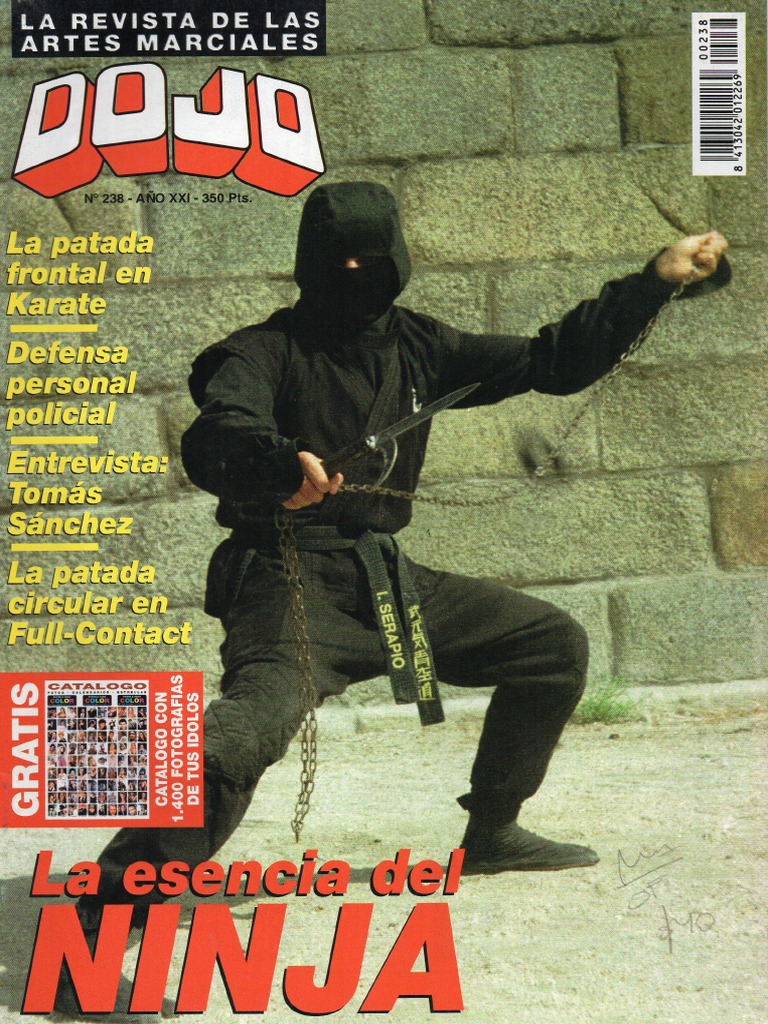 Revista Dojo 3 | PDF