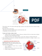Građa I Funkcija Oka: Anatomija 2. Razred 1