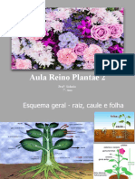 Folha e flor do reino Plantae