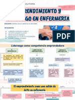 Liderazgo emprendedor competencias enfermería