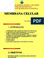 Membrana Celular: Estrutura e Funções