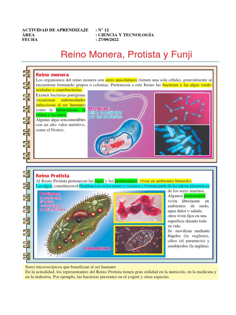 Reino Monera | PDF | Hongo | Algas