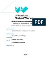 Universidad Privada Norbert Wiener Facultad de Ciencias de La Salud Escuela Académica Profesional de Enfermería