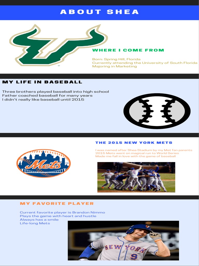 Shea Stadium Info PDF