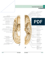 Foramina and Canals of Cranial Base: Inferior View Foramina and Canals of Cranial Base: Superior View