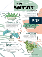 Infografía Del Cuidado de Las Plantas