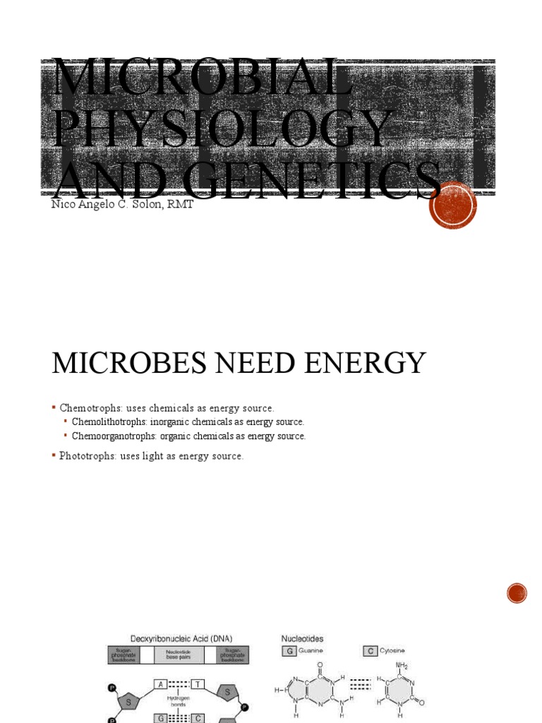Microbial Physiology and Genetics Overview | PDF | Bacteria | Biology