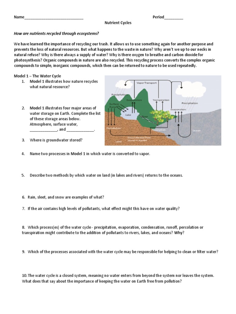 Nutrient Cycles and Energy Pyramids Activity PDF Carbon Cycle Water