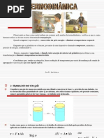 termodinâmica1