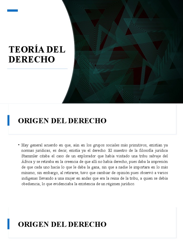 Teoría Del Derecho | PDF | La Ley natural | Fuentes del derecho