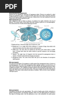 Embryology