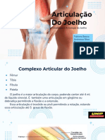Articulação do Joelho: Osteologia e Artrologia