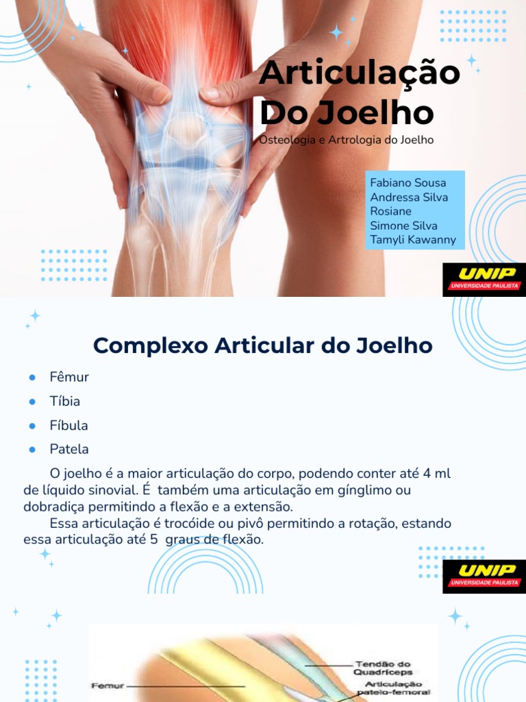 Anatomia Articulações E Estruturas Do Joelho Uma Revisão Completa