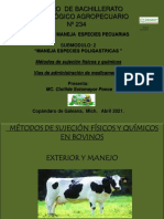 Vias de Aplicacion de Medicamentos