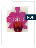 Orchid