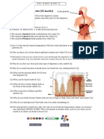 Unit Test