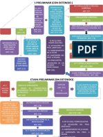 Etapa Preliminar (Con y Sin Detenido)