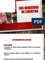 Los Derechos de Libertad