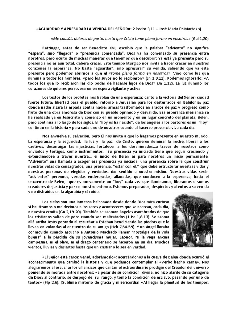 aguardar-y-apresurar-la-venida-del-se-or-2-pedro-3-11-jos-mar-a-fz