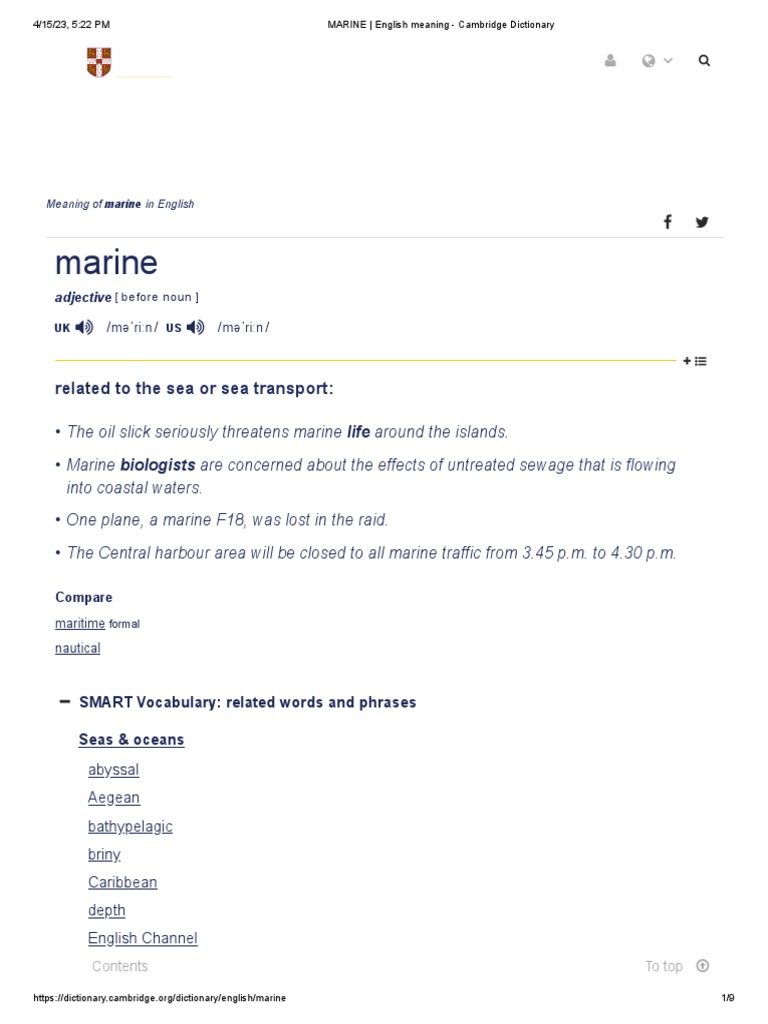MARINE _ English meaning Cambridge Dictionary PDF English