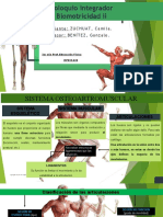 Sistema osteoarticular hombro