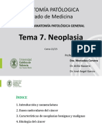 Tema 7. Neoplasia
