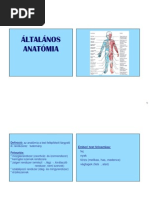 Anat-Csont Es Izomtan