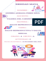 ANDREA - PEREZ - EF - 4A - SALUD SEXUAL Y REPRODUCTIVA (Infografia)