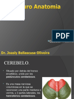 Slide 63 - Neuro 12 - Cerebelo - Anatomia - DR Joasly Oliveira - 2sem - 28-06-22