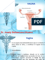 Slide 28 - VAGINA - Anatomia - Dr Joasly Oliveira - 2sem - 12-04-22