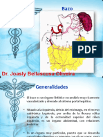 Slide 16 - BAZO - Anatomia - DR Joasly Oliveira - 2sem - 15-03-22