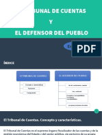 Tribunal de Cuentas y Defensor Del Pueblo