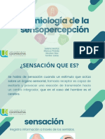 Semiología de La Sensopercepción: Selena Muñoz Blanca Pineda Nicolas Díaz Yenifer Salas