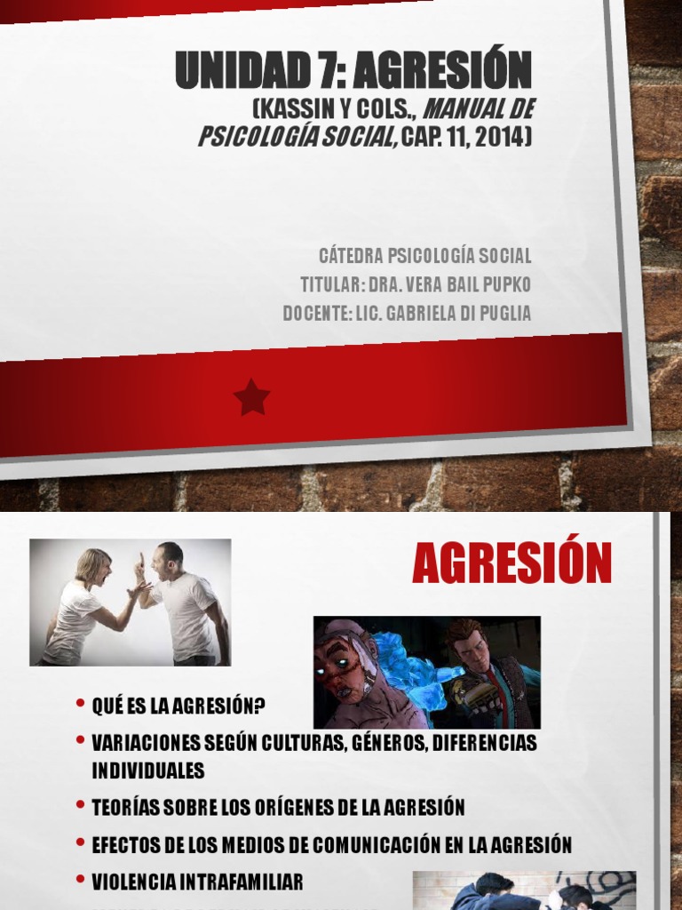 Tipos y Orígenes de la Agresión | PDF | La violencia contra las mujeres ...