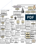 Organizador Visual - Sistemas Psicologicos