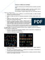 Tarefa - Realiza Un Cariotipo