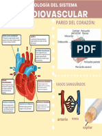 Bold Blue and Red Human Heart Science Classroom Poster (42 × 40.4 CM)