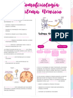 anatomofisiología del sistema nervioso