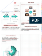 CICLO SALUD 