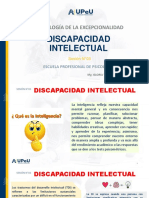 Discapacidad Intelectual 1