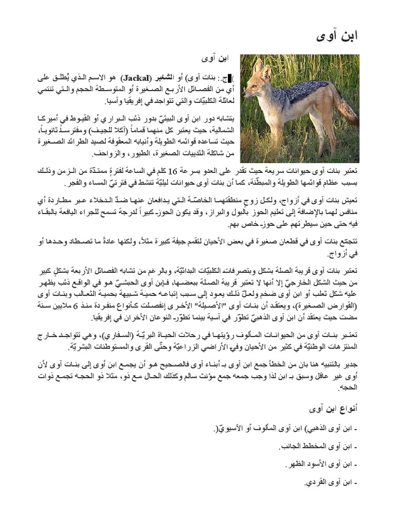 ابن آوى | PDF